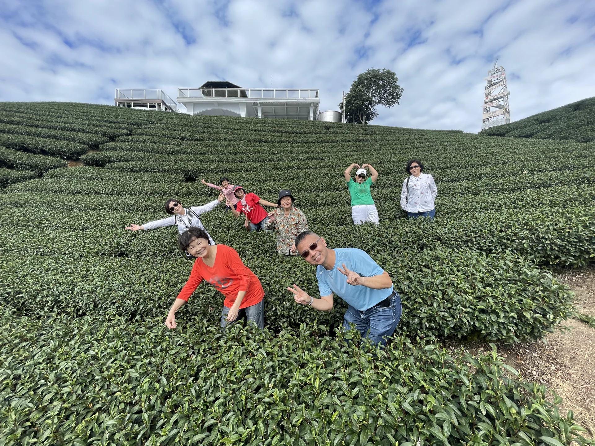 茶園裡的旅行節奏