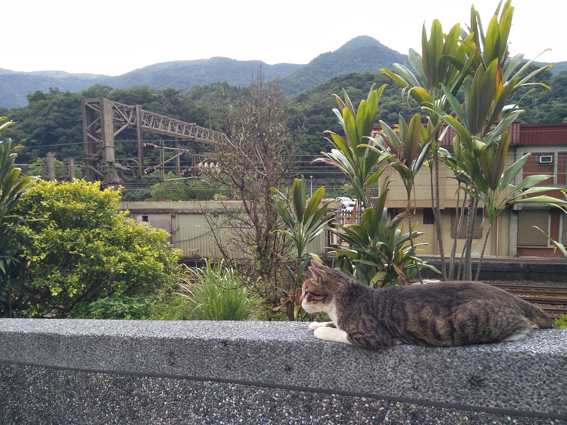 猴硐礦業・金瓜石黃金山城二日景點參考照片