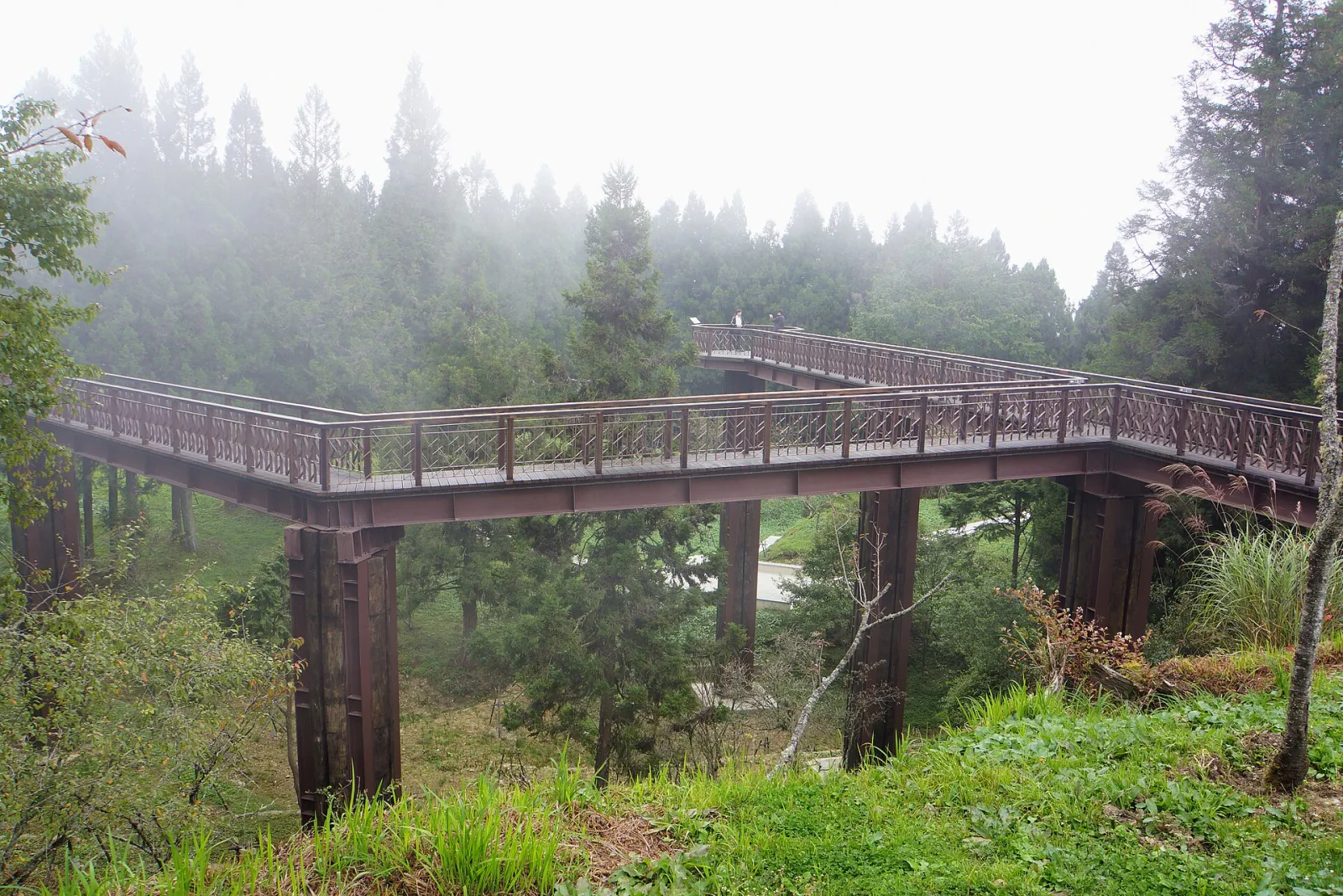 Tainan & Chiayi 3-Day Charter | Railway Heritage, Meishan & Alishan