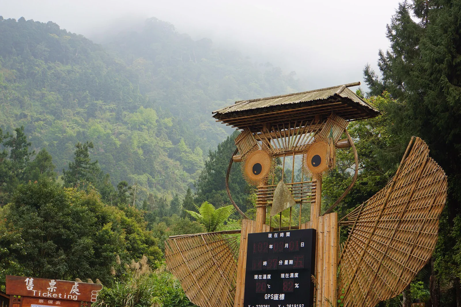 Central Taiwan 5-Day Charter | Forest Walks & Old Towns